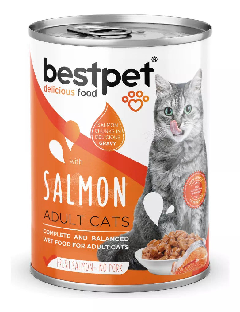 Alimento Húmedo Premium Bestpet para Gato sabor Trozos de Salmón 400 gr